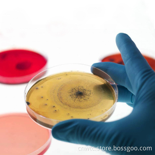 High Boro3.3 Glass Petri Dish Sizes: 60mm, 90mm, 100mm, 120mm, 150mm - Laboratory Disposables Glassware Collection